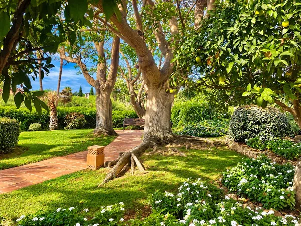 Piso en Alameda de las Brisas, 1, Bahía de Marbella - Foto 32