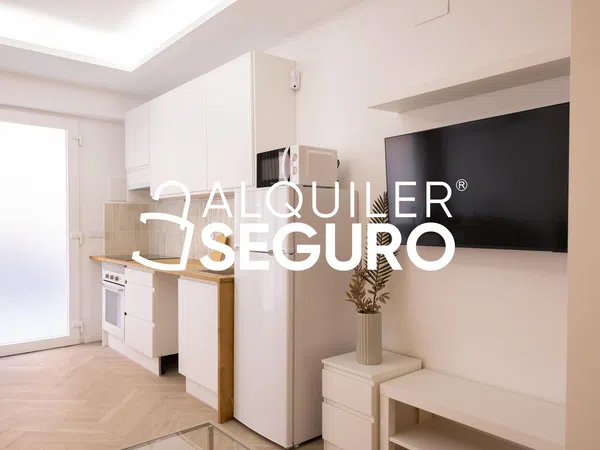 Estudio en Calle del Capitular de Gandia, La Creu Coberta - Foto 7