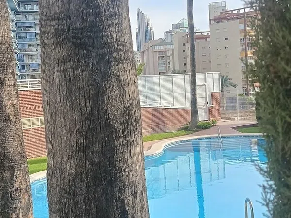 Estudio en Calle Llebeig, 4, Alitana - Casablanca - Foto 12