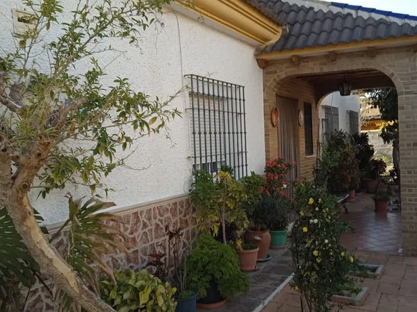 Finca rústica en Calle Sócrates, 56 - Foto 11