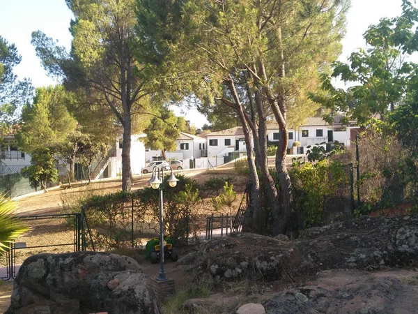 Casa o chalet independiente en Avenida del Brezo, 28, Trassierra - Las Jaras - Foto 14