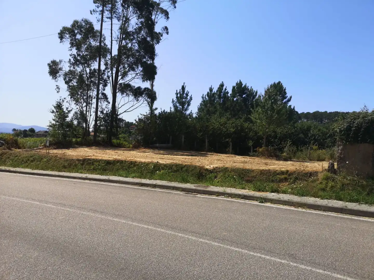 Terreno Residencial en  Carretera a Mosende 19 - Foto 4