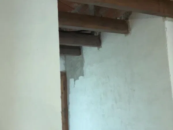 Finca rústica en Carril los González y los Pérez, 40, Cañadas de San Pedro - Foto 29