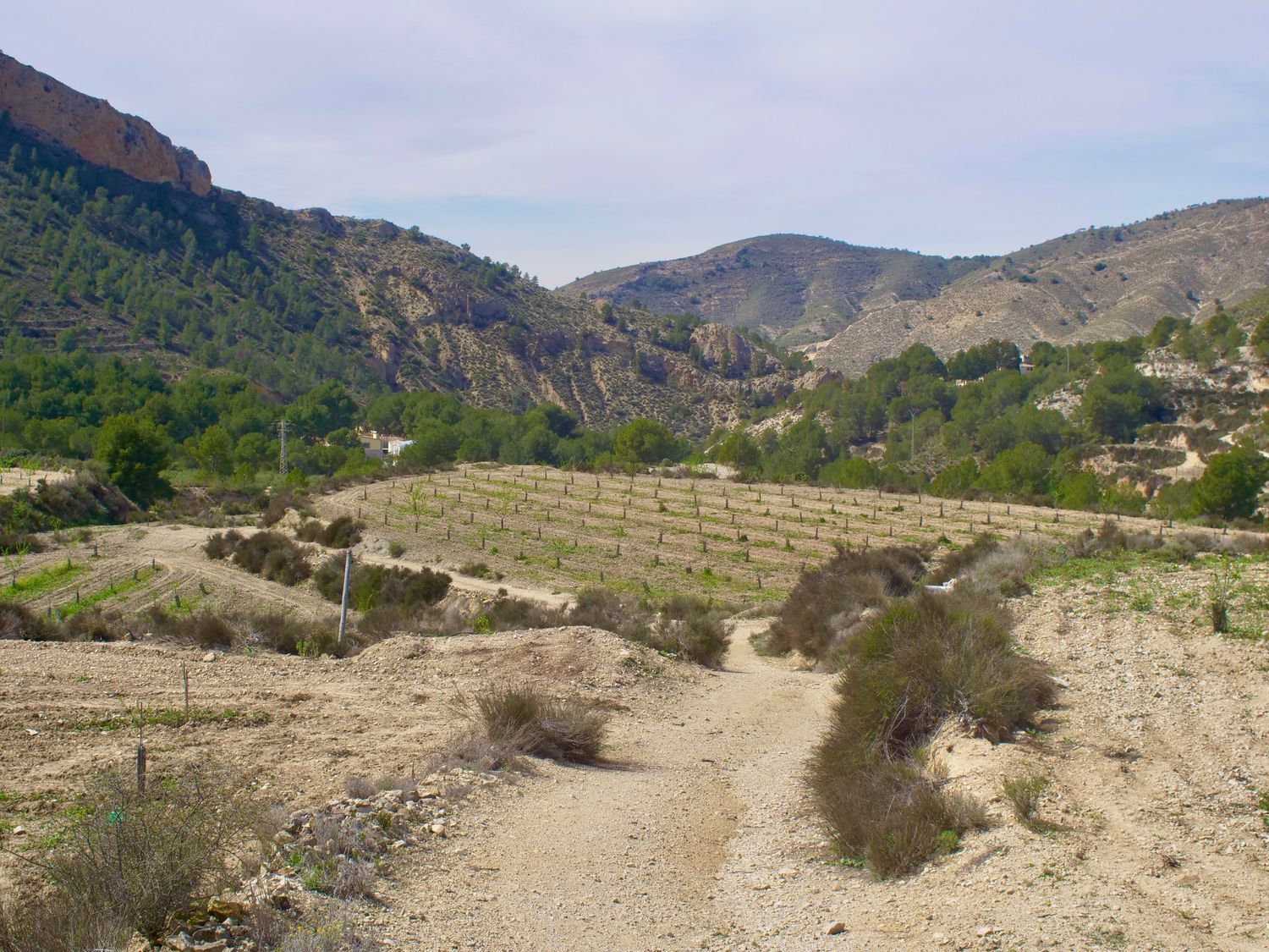 Casa independiente en Partida Almadrava, 1 - Foto 38