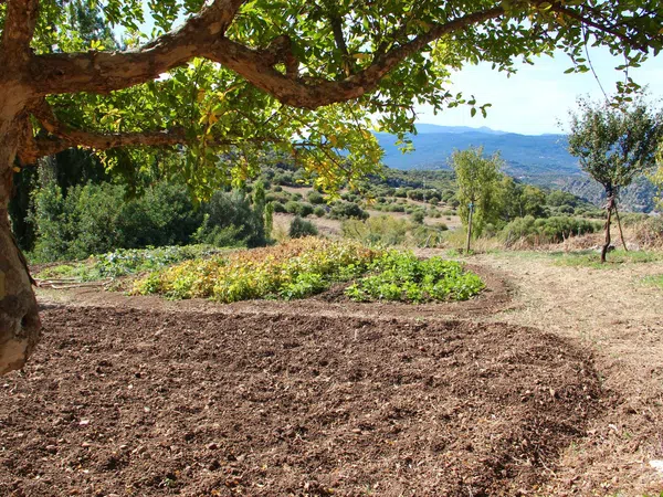 Casa rural en Avenida de Cadiz, 3 - Foto 37