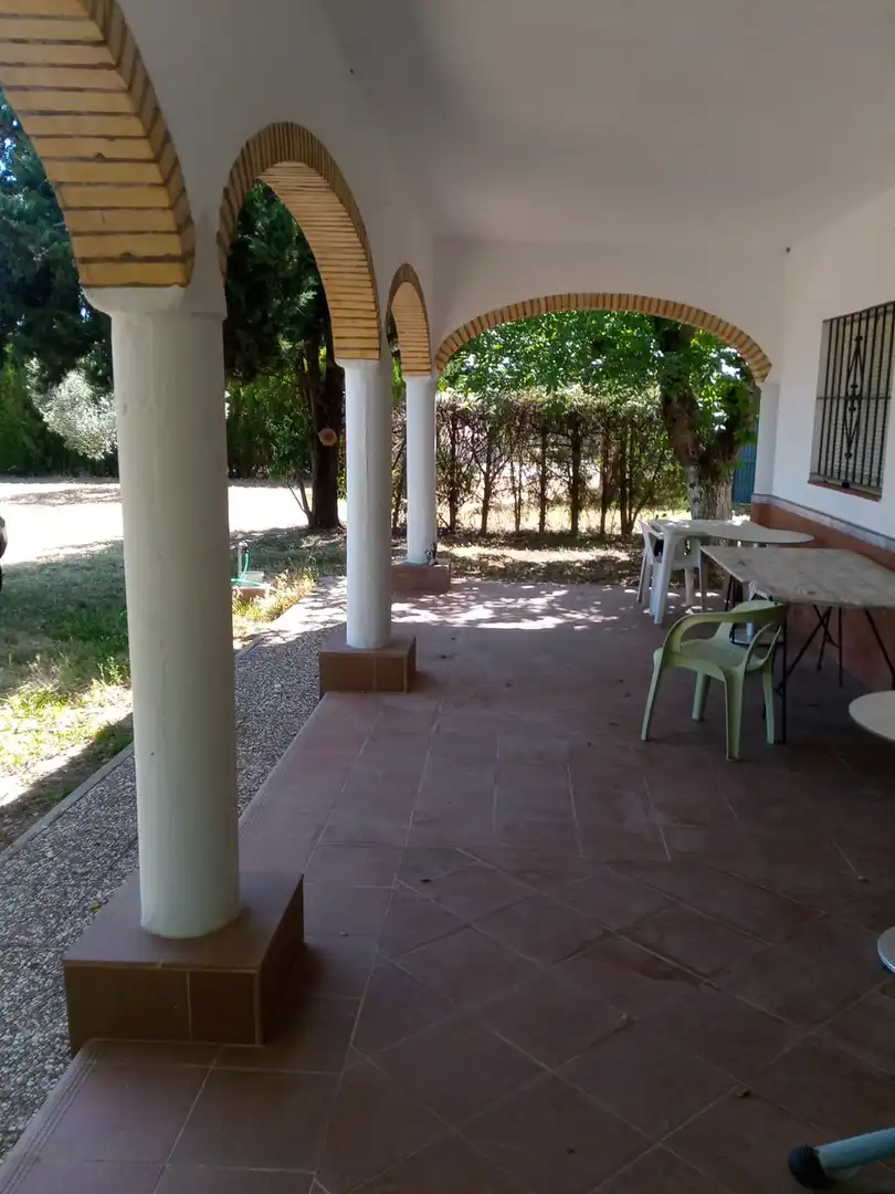 Finca rústica en  Calle Francisco Palacio Ortega 1 - Foto 3