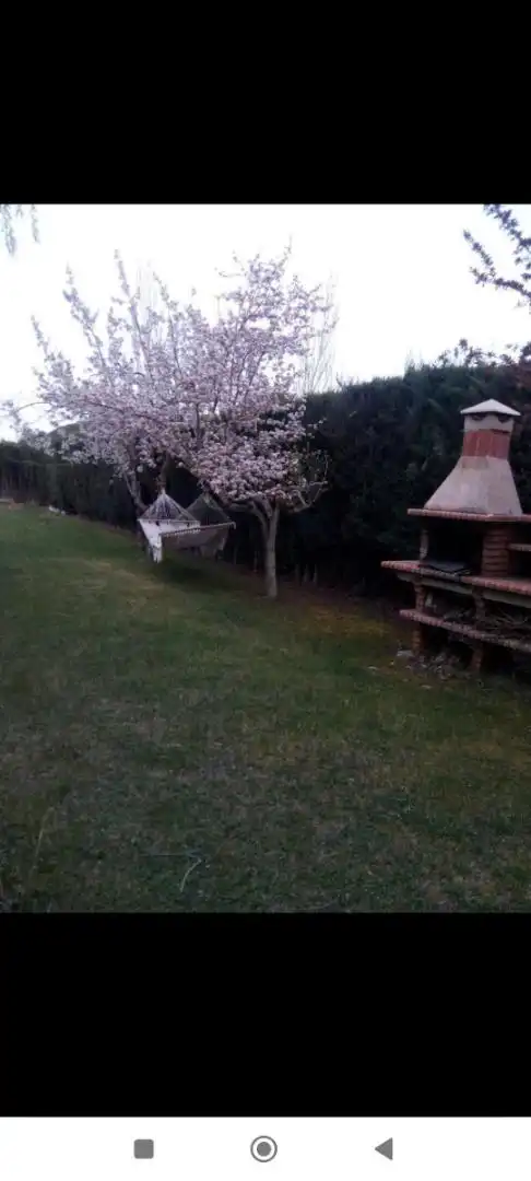 Chalet en  Urbanización El Sotillo 5 - Foto 3