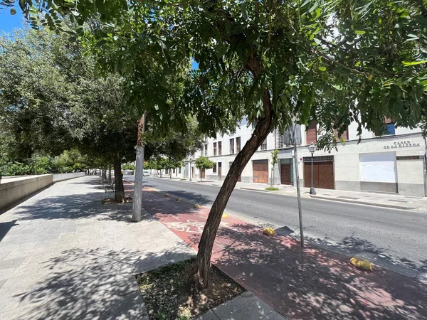 Dúplex en Paseo de la Ribera, 32, Casco Histórico - Corredera - Ribera - Foto 37