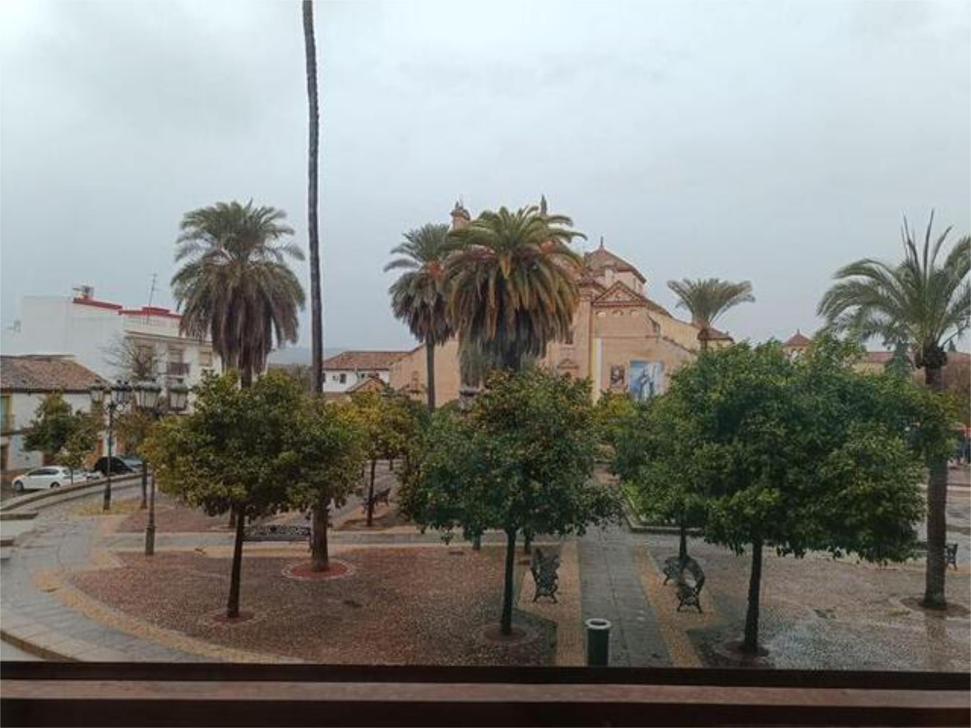 Piso en Avenida de Barcelona - Foto 5