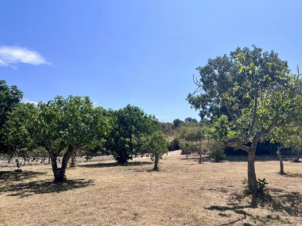 Casa rural en Arenas de San Pedro - Foto 3