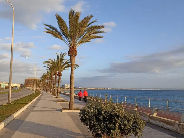 Piso en Calle Ricard Ankerman, 50, Foners - Foto 15