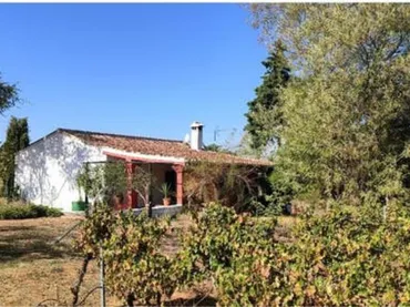 Chalet en campo - Foto 9