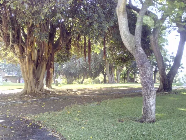 Estudio en Avenida Gamonal, 6, Parque de la Paloma, Parque de la Paloma - Foto 15