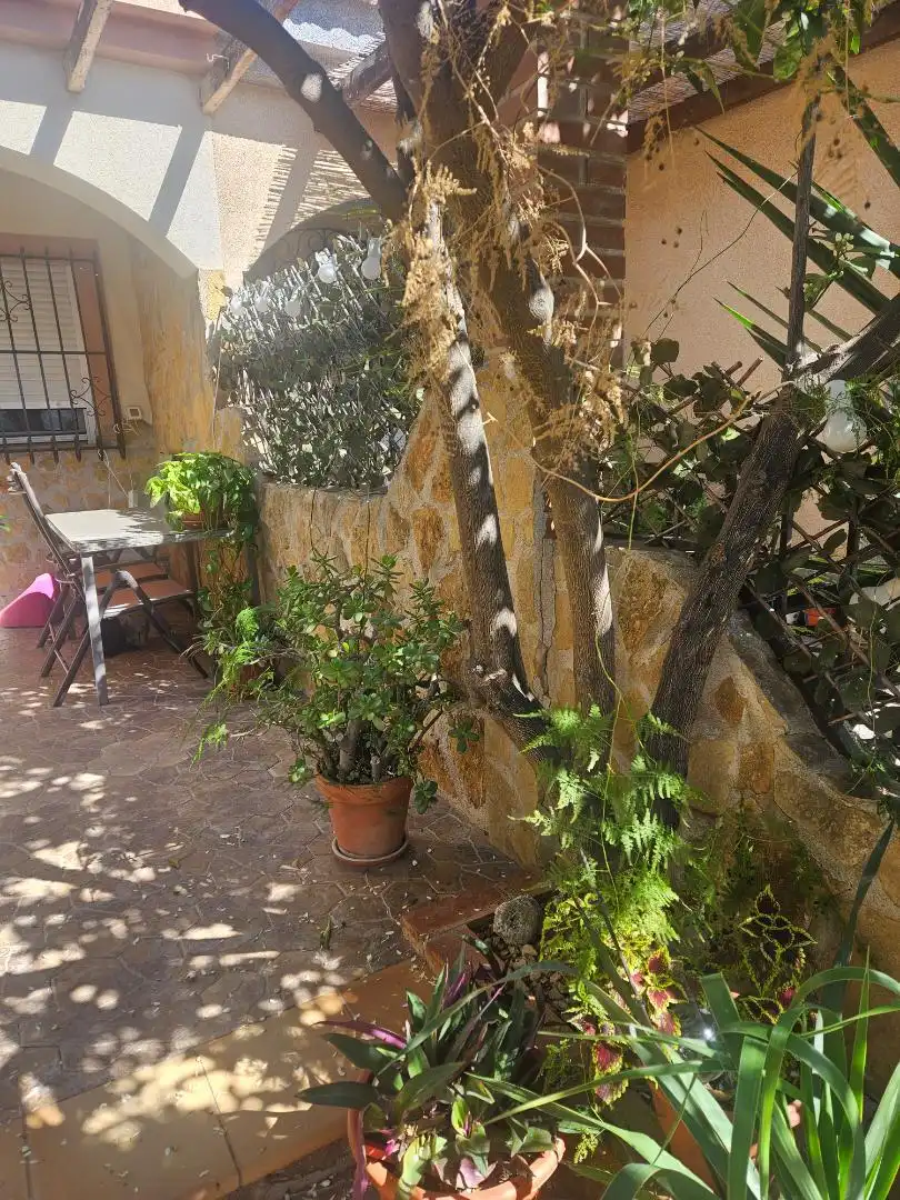Planta baja en  Calle Castillete 59 - Foto 5