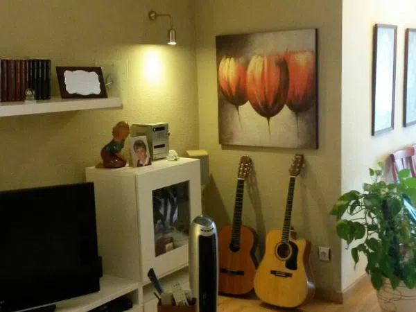 Piso en Avenida Cayetano del Toro, 5, Zona Laguna, Zona Laguna - Foto 5