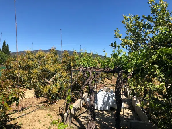 Finca rústica en Vega de granados 5, 5 - Foto 6