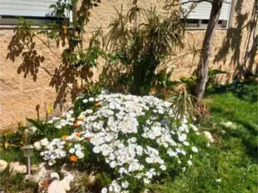 Chalet en Club Camping Bohalar (garrapinillos - Foto 3