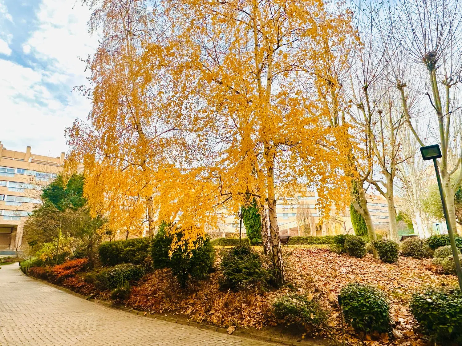 Ático en calle de José Antonio Navarrete, 9 - Foto 15