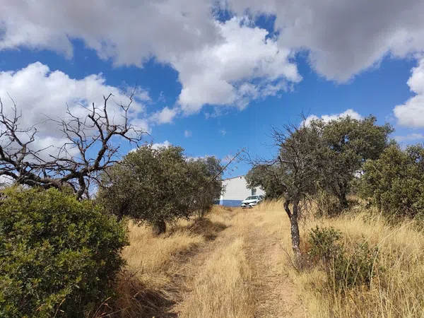 Cortijo en Camino de la Carretera de Almuradiel s/n - Foto 11