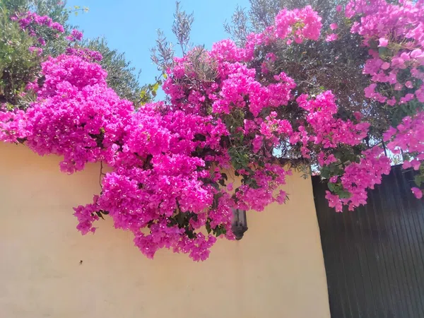 Casa rural en Huerta del pilar, 16 - Foto 8