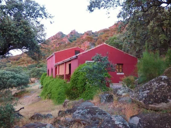 Finca rústica en Carretera Albalá del Caudillo s/n - Foto 3