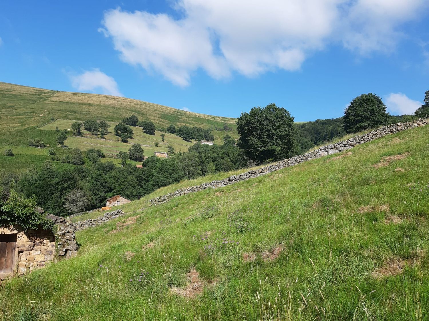 Casa rural en Pandoto s/n - Foto 9