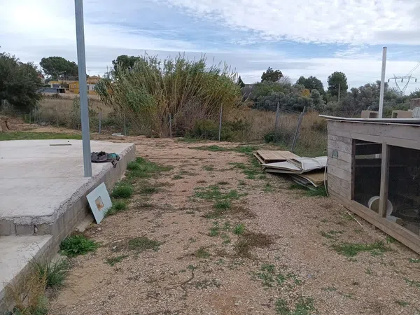 Finca rústica en partida de casa blanca, 181 Ll - Foto 4