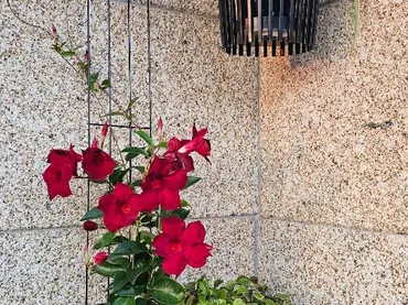 Apartamento en  PO-550 34 - Foto 7