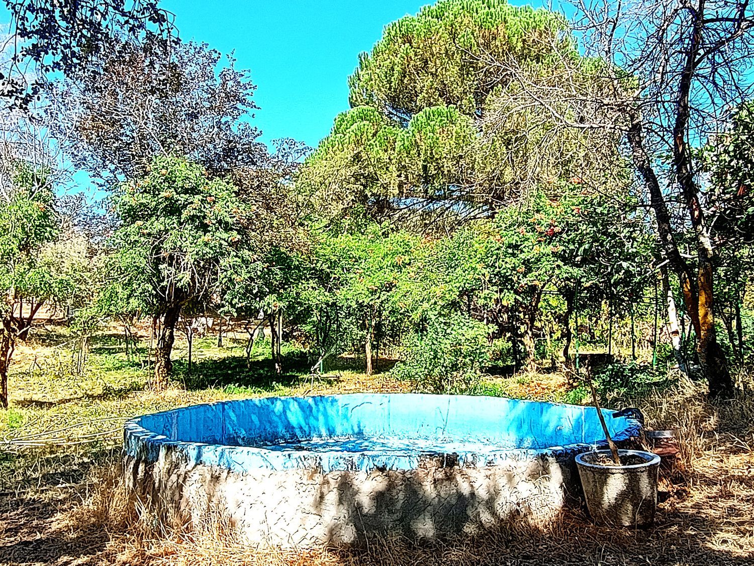 Finca rústica en Avenida de Constitución s/n - Foto 16