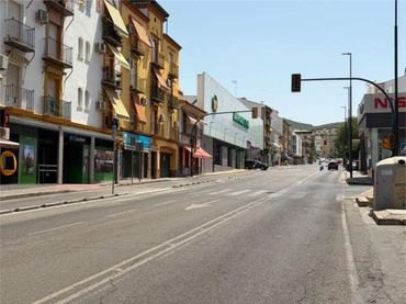 Chalet en Avenida del Parque Lucena Cordoba - Foto 9
