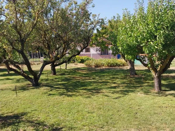Finca rústica en Camino Cascajo s/n - Foto 5