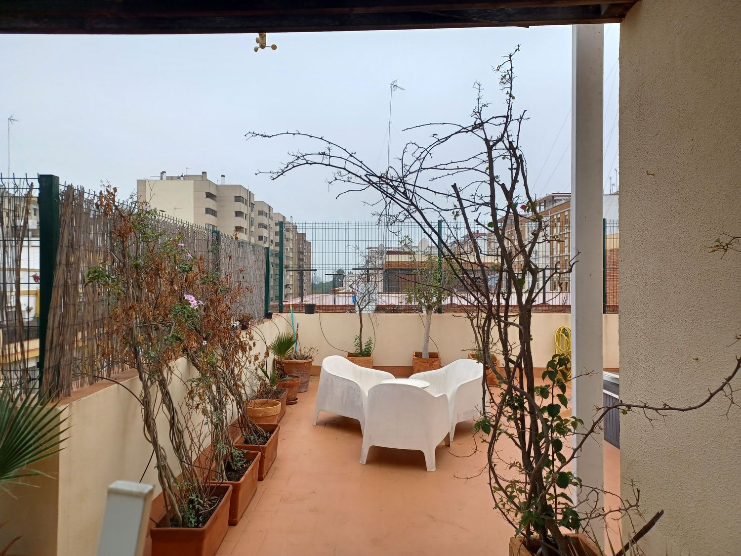 Ático en calle Virgen de la Cinta, 34 - Foto 4