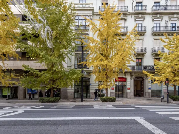 Ático en calle Gran Vía de Colón, 46 - Foto 20