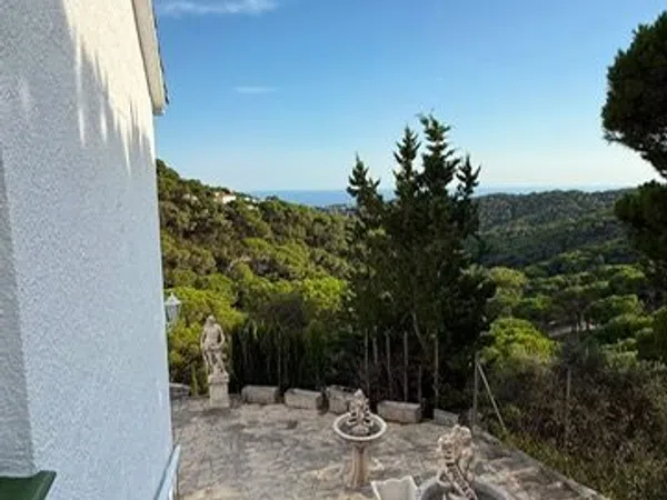 Casa o chalet independiente en Calle del Fonoll, 11, Serra Brava, Serra Brava - Foto 19