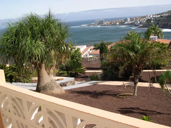 Casa o chalet independiente en Bajamar-Punta del Hidalgo, Bajamar-Punta del Hidalgo - Foto 14