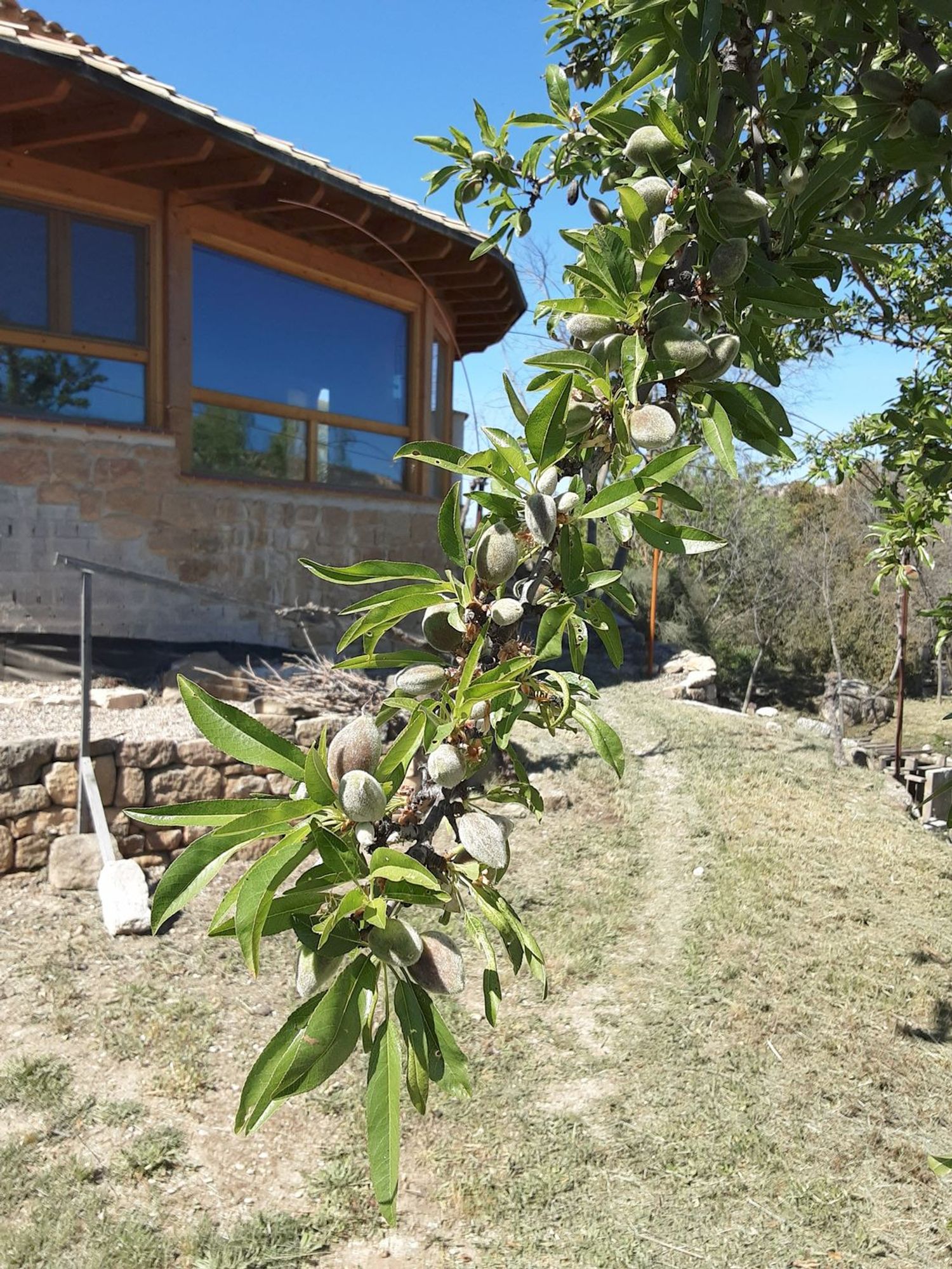 Finca rústica en Huerta Zaragoceta s/n - Foto 20