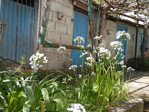 Casa de pueblo en Calle Igrexa Viloira, 15 a - Foto 6