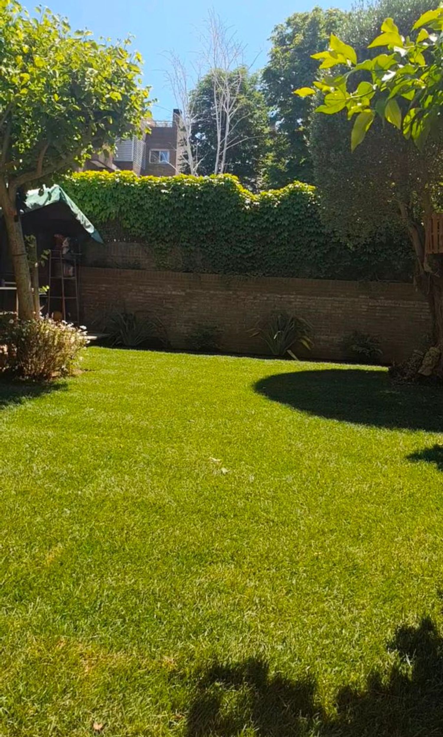 Piso en calle de Joan Oliver, 12 - Foto 6