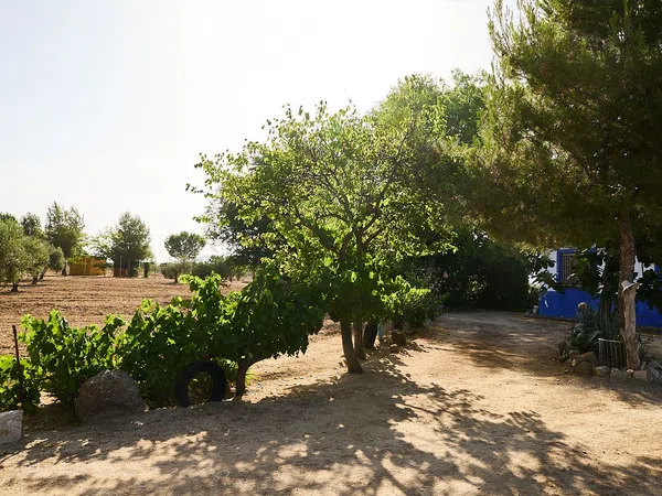 Finca rústica en Camino de la Mata s/n - Foto 8