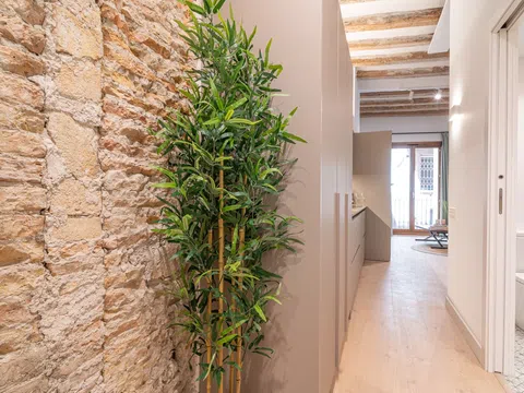 Estudio en rambla de Ferran, 11 - Foto 8