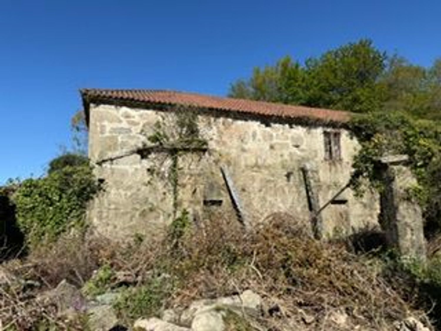 Finca rústica en Feitoxo, 1 - Foto 13