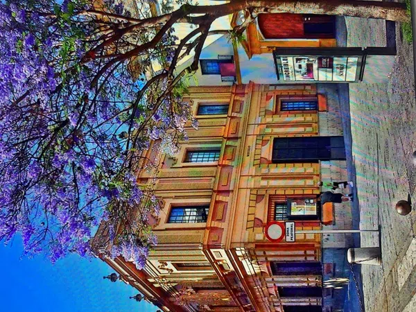 Estudio en calle San Vicente, 3 - Foto 8