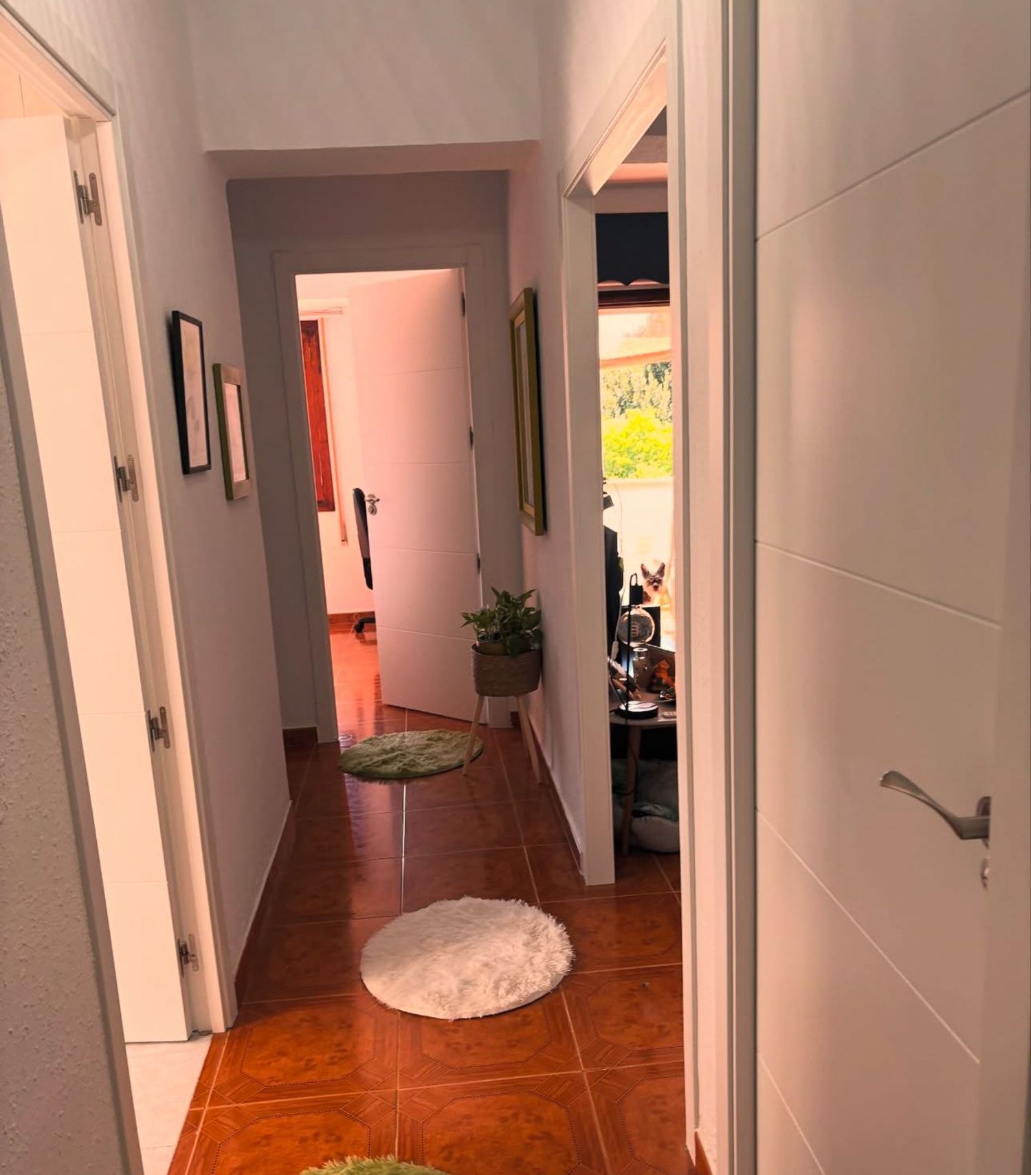 Piso en Calle Colón, 30, Casco Viejo, Casco Viejo - Foto 8