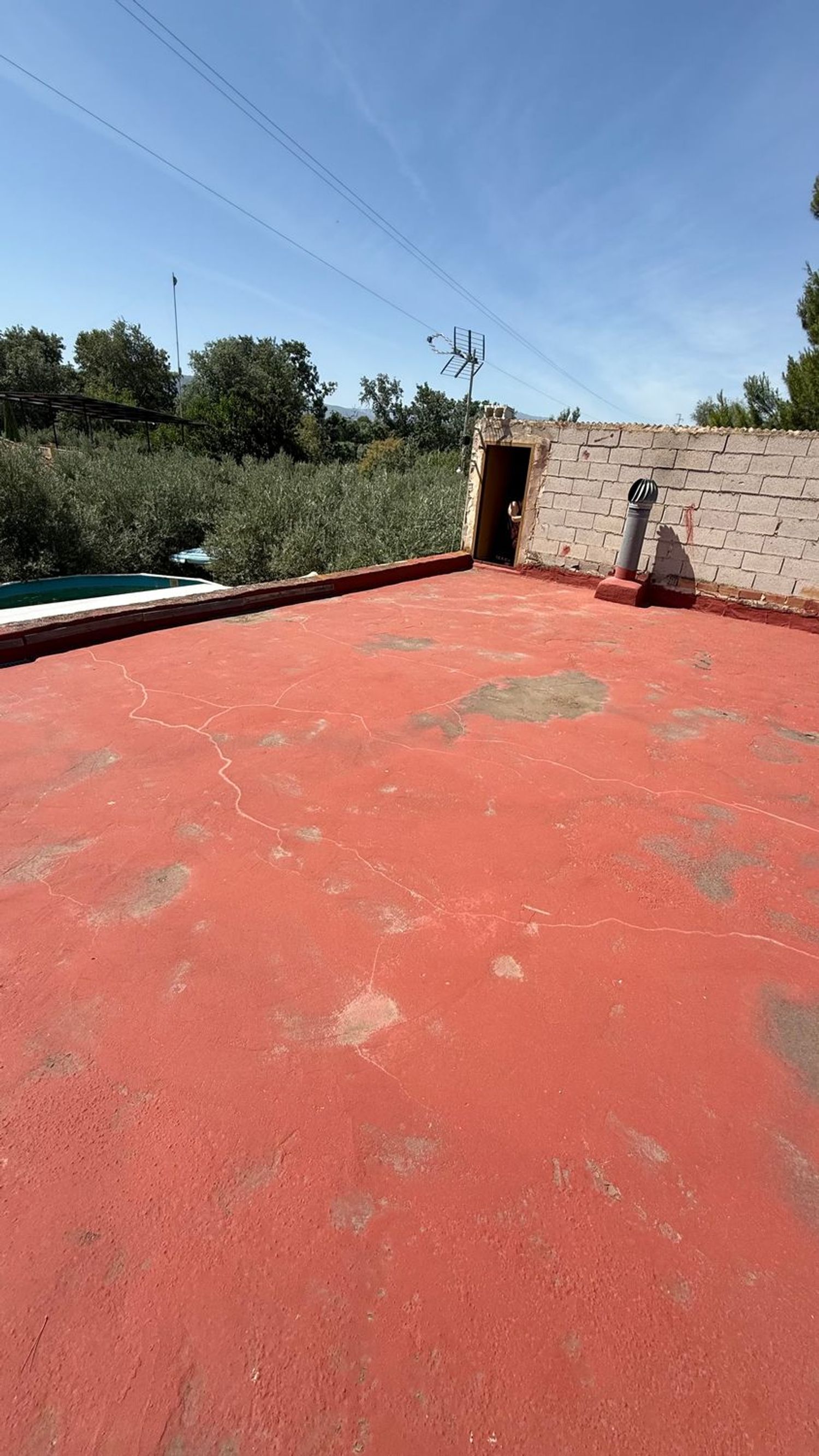 Casa o chalet independiente en Puente Tablas s/n - Foto 14