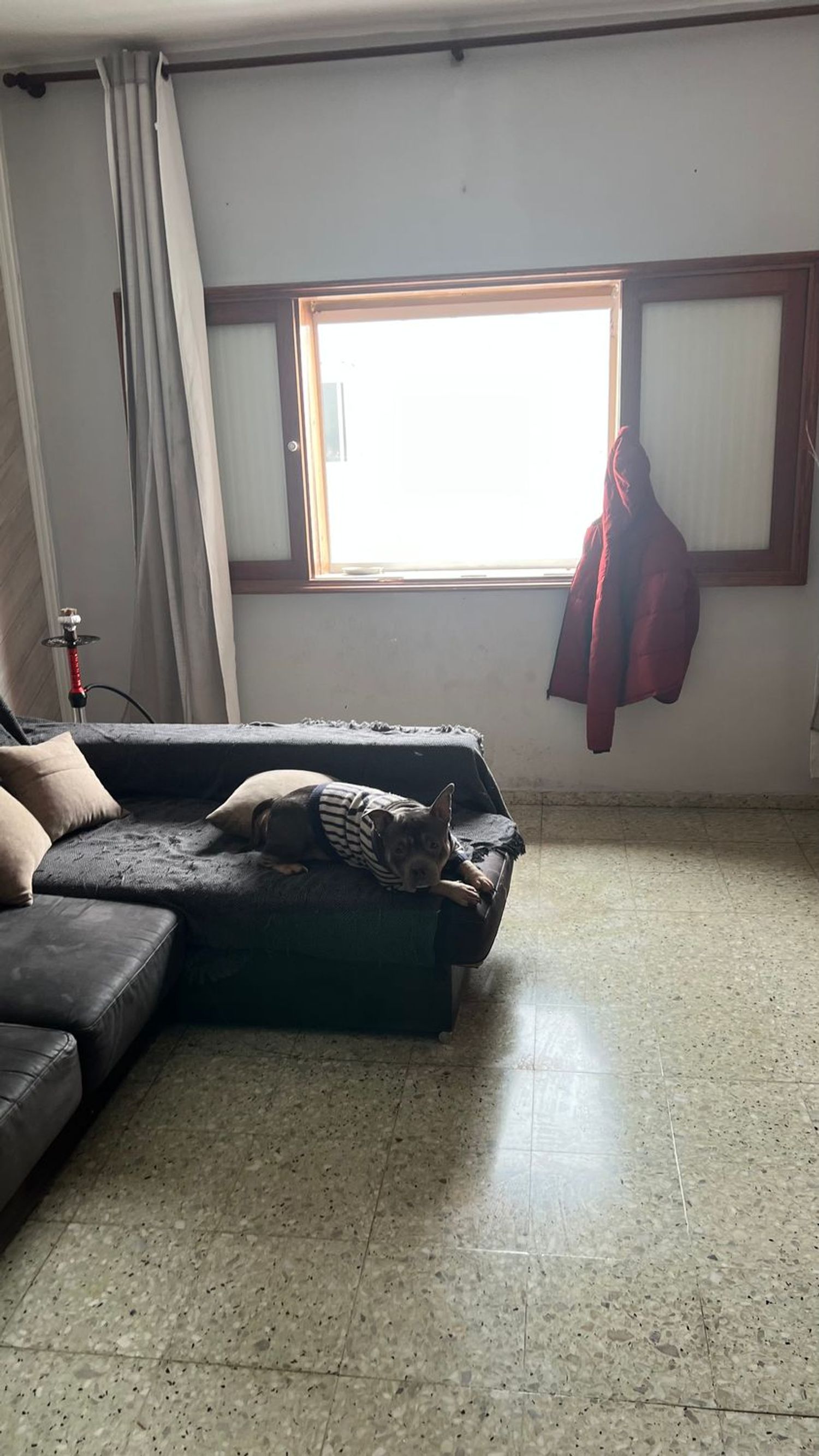 Piso en Calle Doña Perfecta, 29, Schamann - Rehoyas - Foto 2