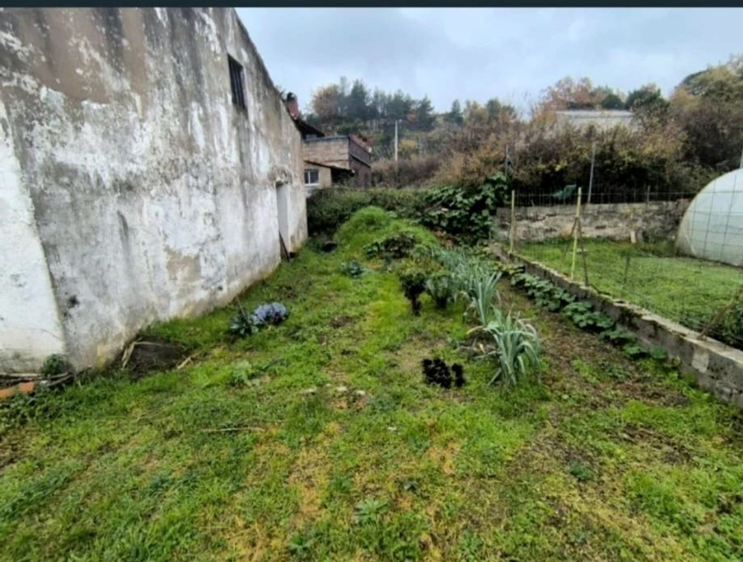Casa o chalet independiente en Pasaje Depósitos, 36 - Foto 11