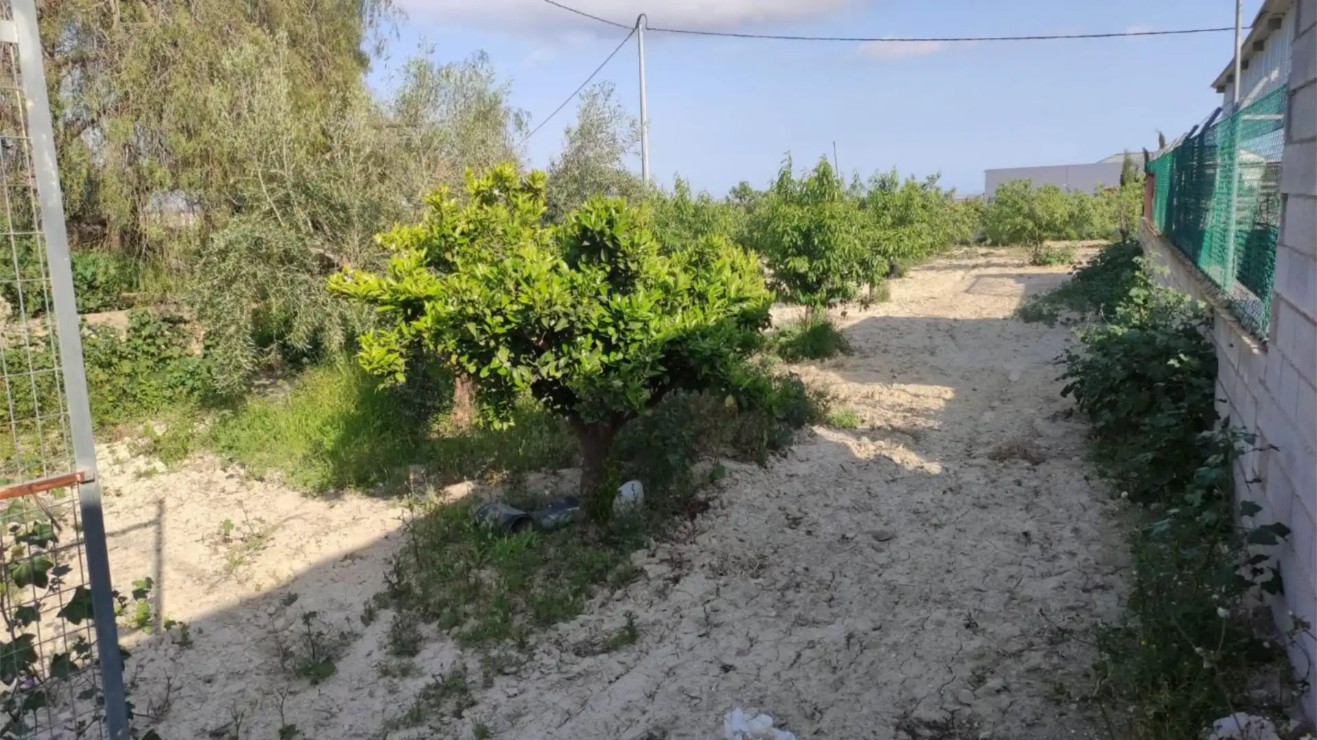 Finca rústica en  Diseminado Urreas 11 - Foto 41