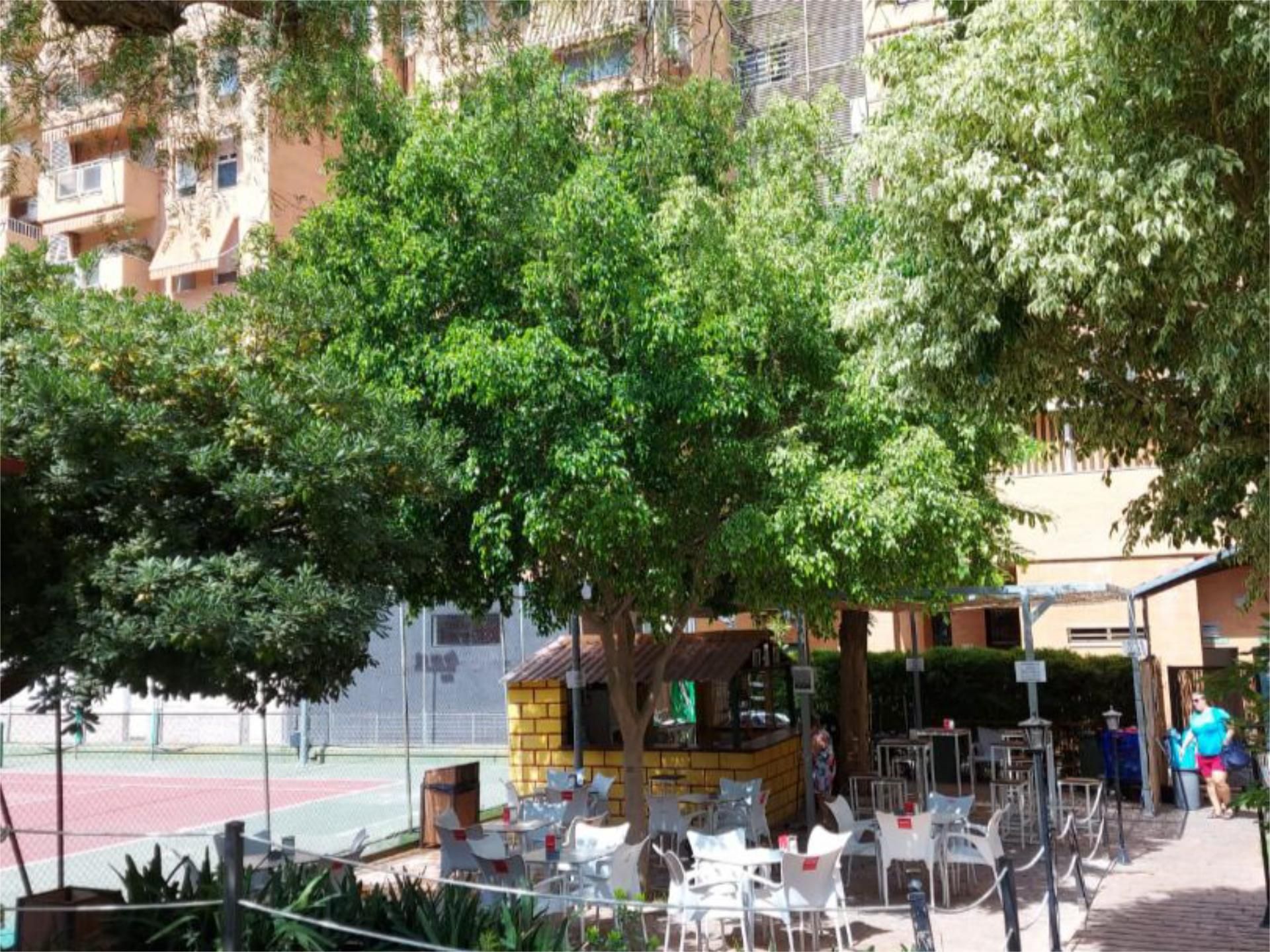 Loft en calle cueva de menga 1 - Foto 13