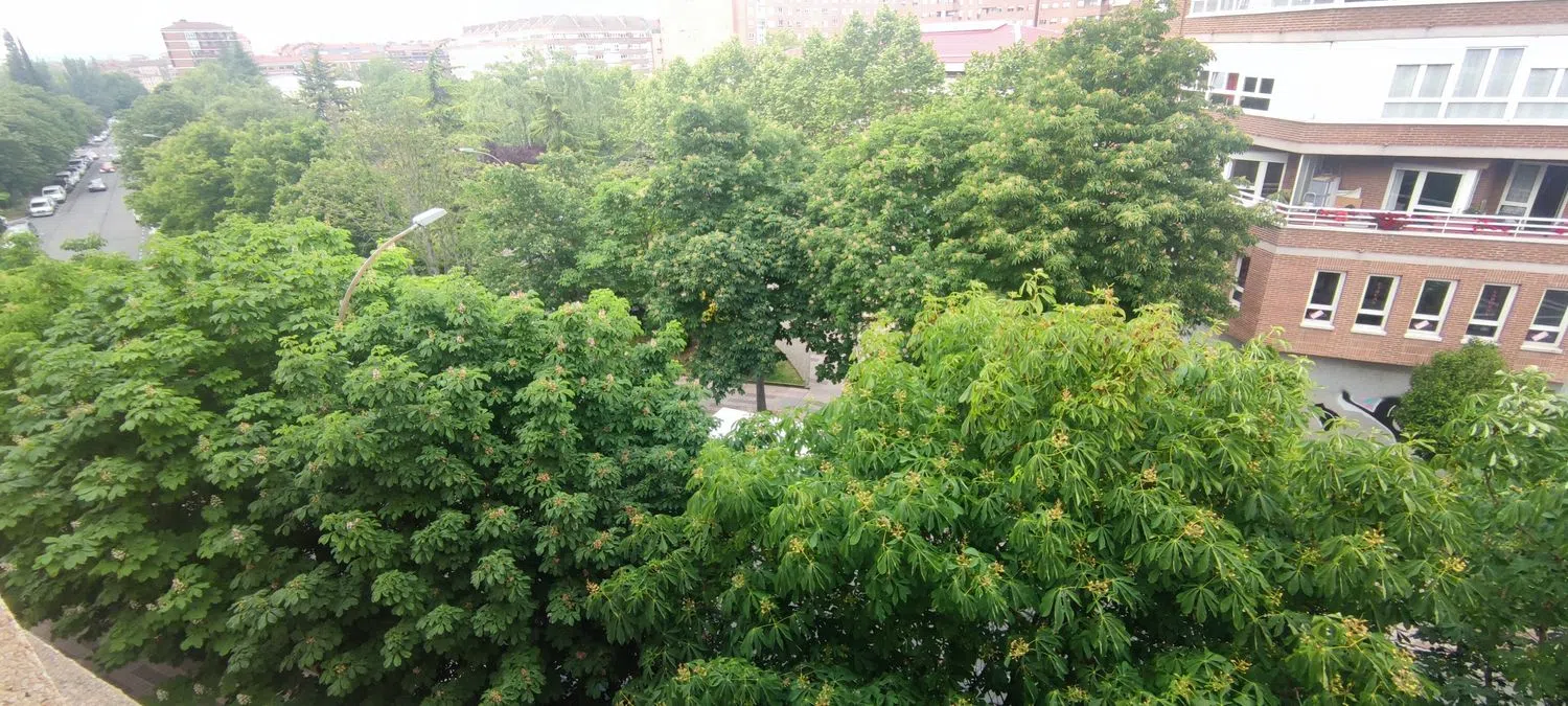 Piso - Foto 11