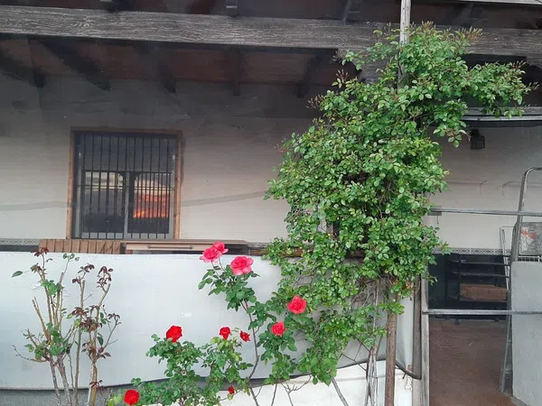 Finca rústica en Arroyo León s/n, El Cortijuelo - Foto 4